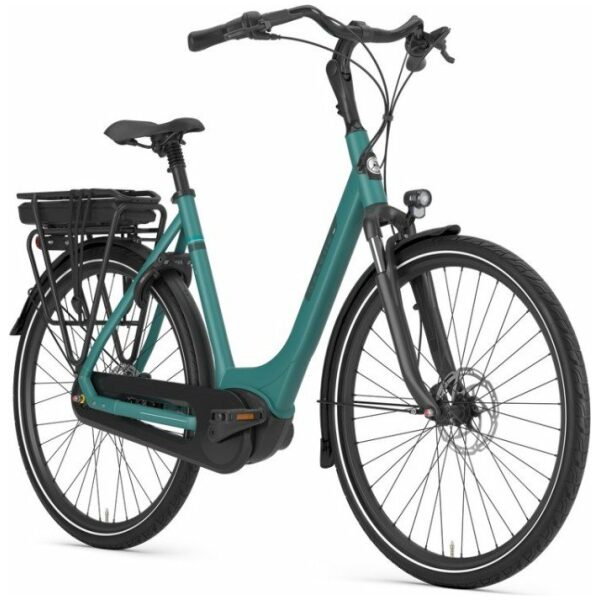Gazelle Paris C7+ Thyme Green Mat Dames 2025