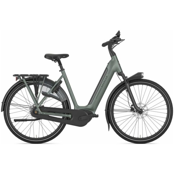 Gazelle Grenoble C8+ Twilight Green Mat Dames 2025
