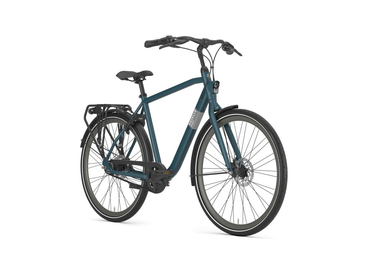 Gazelle Esprit Belt Pine Green (mat) Heren 2023 - Afbeelding 2